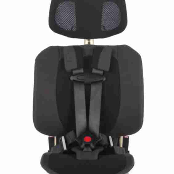 Pico Portable Car Seat