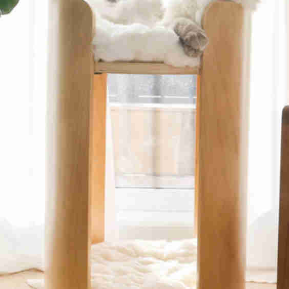 Castillo Cat Tower
