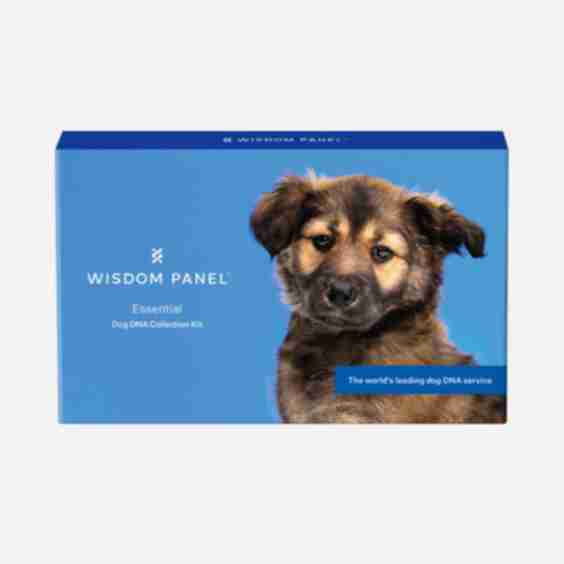 Wisdom Panel Essential