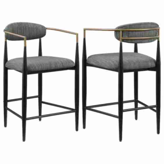 Tina Fabric Upholstered Chair (Set of 2)