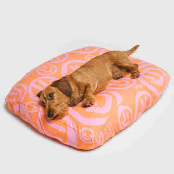 Sherbet Happy Bed Sheet
