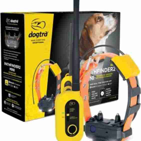 Pathfinder 2 Mini Dog Tracking