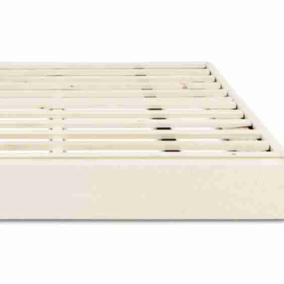 Birch Foundation