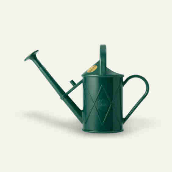 The Bartley Burbler 2 Pint Watering Can