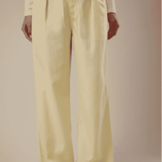 Robin High Waist Wide Leg Pleated Pants