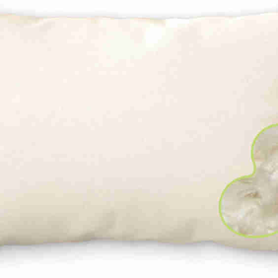 Organic Kapok Pillow