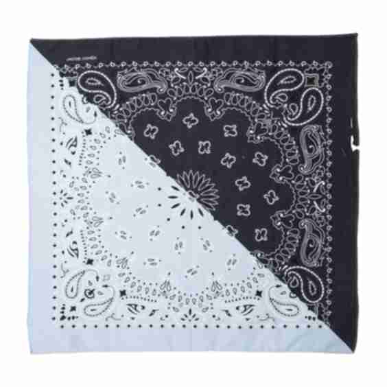 Paisley Print Scarf