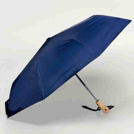 Duck Umbrella