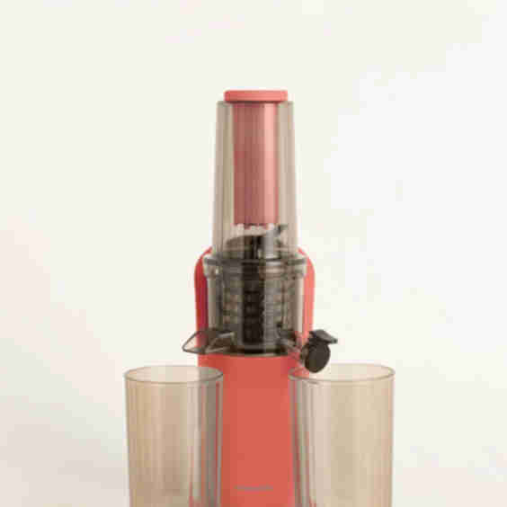 Slow Mini Juicer 