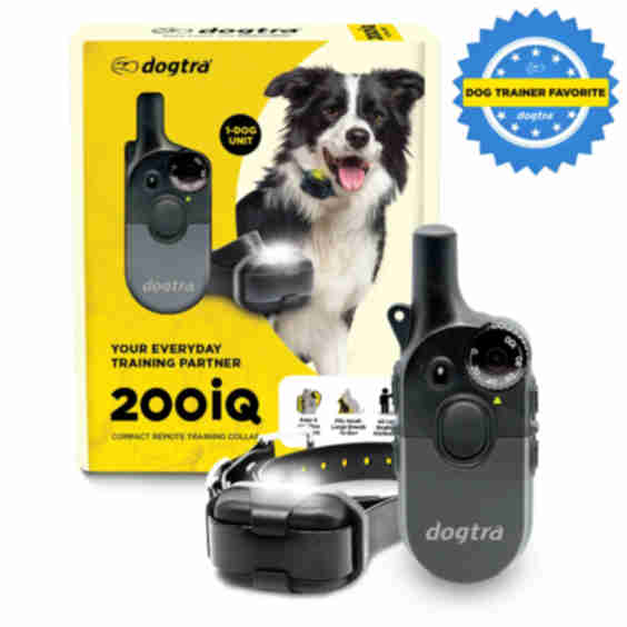 200iQ 1-Dog Unit Dog Training Collar
