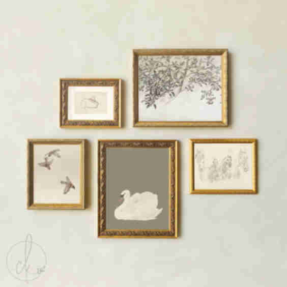  Nursery Wall Art Gallery Vintage Animal and Botanical Prints