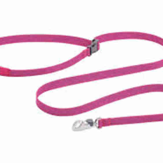Flagline Leash