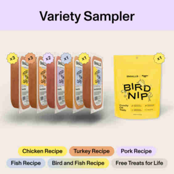 Fresh Food Sampler