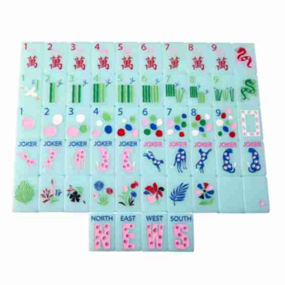 Springtime Safari Game