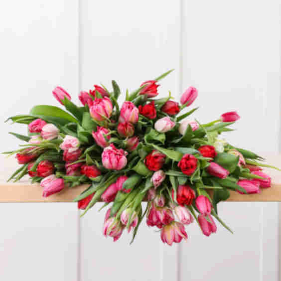 Zou Bisou Bisou 50 Red and Pink Tulips