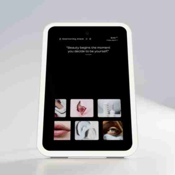 Smart Swan Mirror