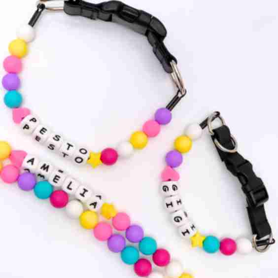 Personalized Single Strand Beaded Friendship Bracelet Dog Collar