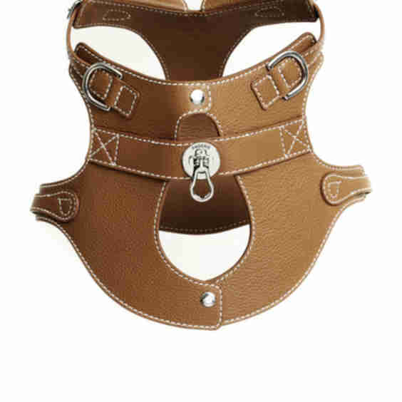 The Colombo Harness