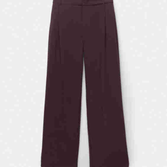 Darted Smart Pants