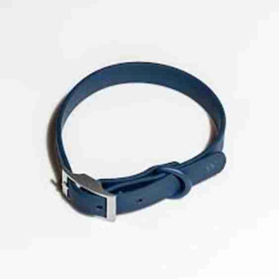  Dog Collar