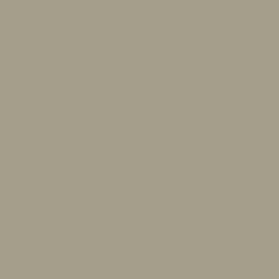 Sage the Day Paint