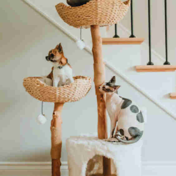 Cento Cat Tree