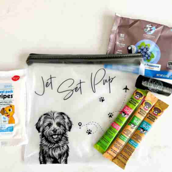 Jet Set Pup Packs 