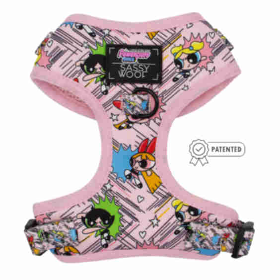 Dog Adjustable Harness - the Powerpuff Girls