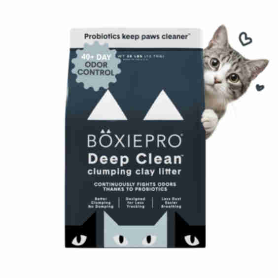 Deep Clean Clumping Clay Cat Litter 28-lb Bag