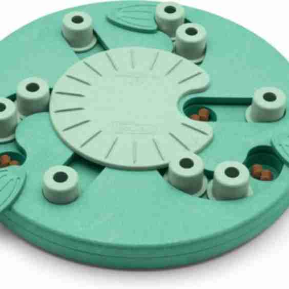 Dog Brick Interactive Treat Puzzle