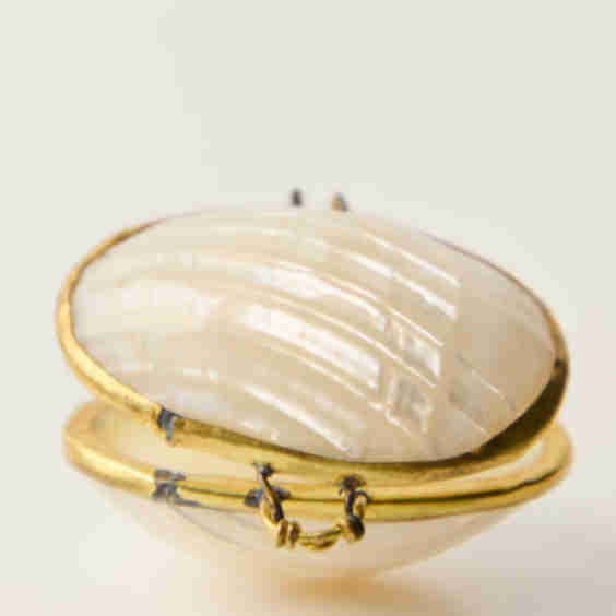 Shell Lip Balm