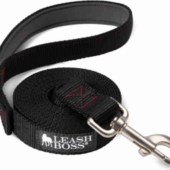 Dog Leash with Padded Handle