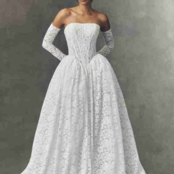 Pronovias x Anthropologie Weddings Arbela Strapless Wedding Gown