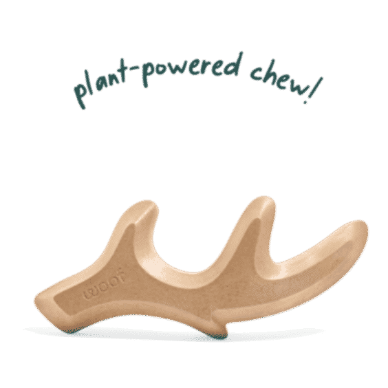 HonestChew Ultra-Durable Chewbone Dog Toy