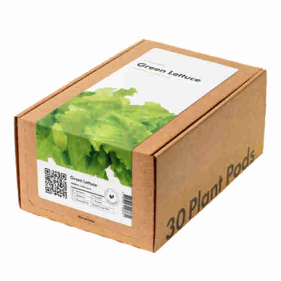 30 Pack Green Lettuce Pods