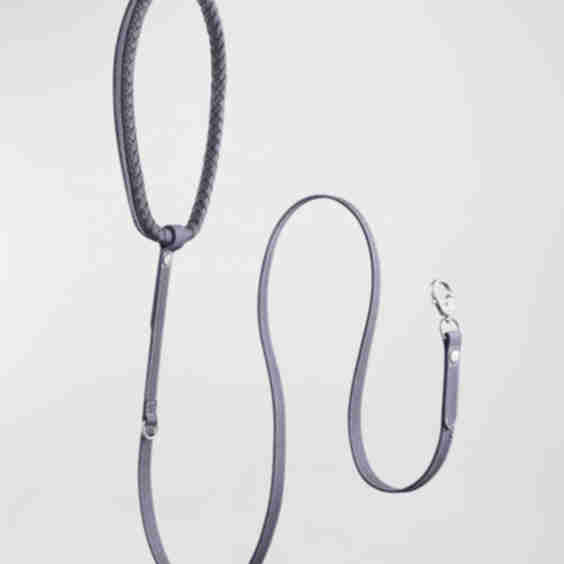Rava Pet Leash