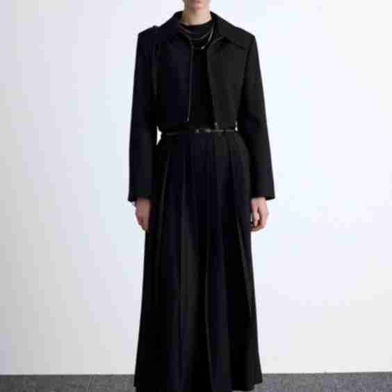 Wide Pleated Skirt 