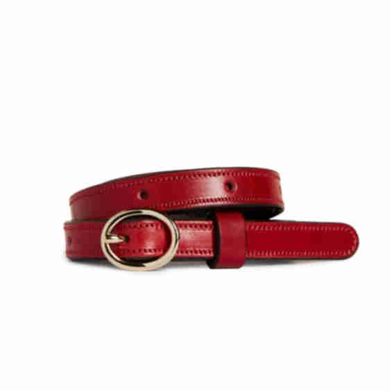 ODP Torino Belt 