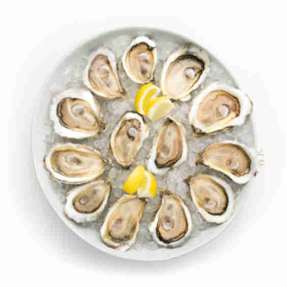 Oysters 50 Count