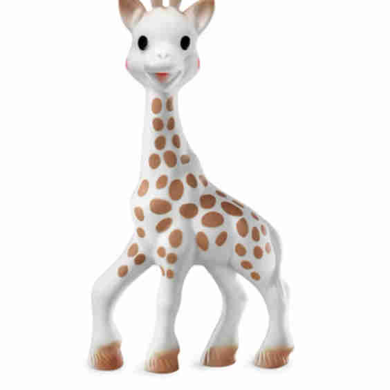Infant Teether 