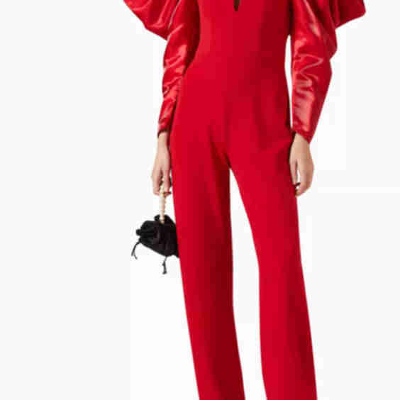 Rose Draped Sleeve Jumpsuit In Crepe