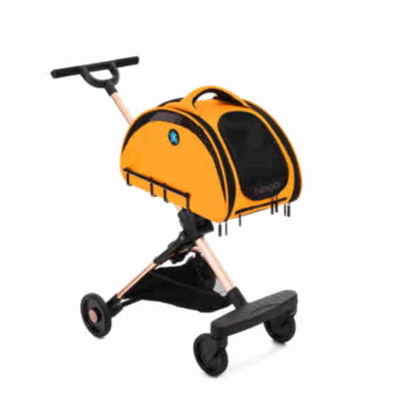 Airline Approved Bag & Pet Stroller Combo