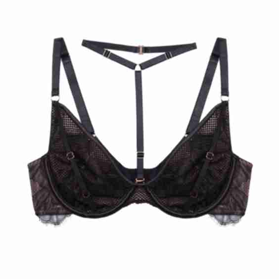 Playful Promises x Felicity Hayward Fairfield Fishnet And Lace Plunge Bra