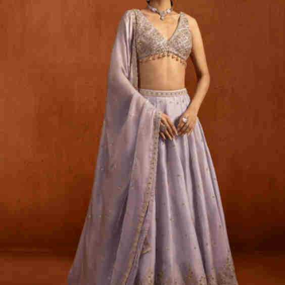 Embroidered Tissue Lehenga