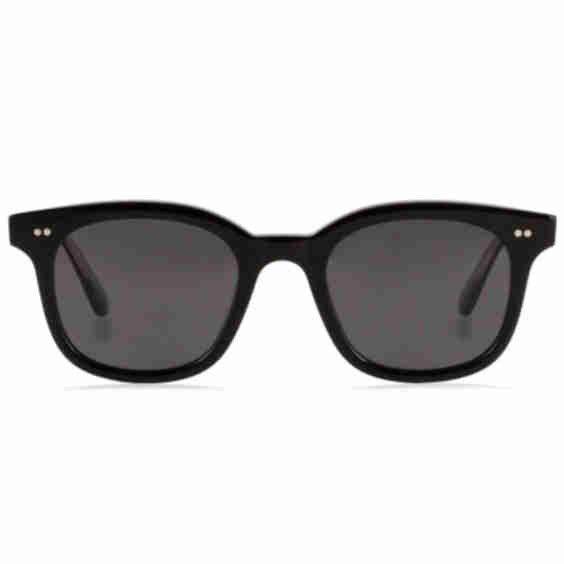 Harvey Sunglasses