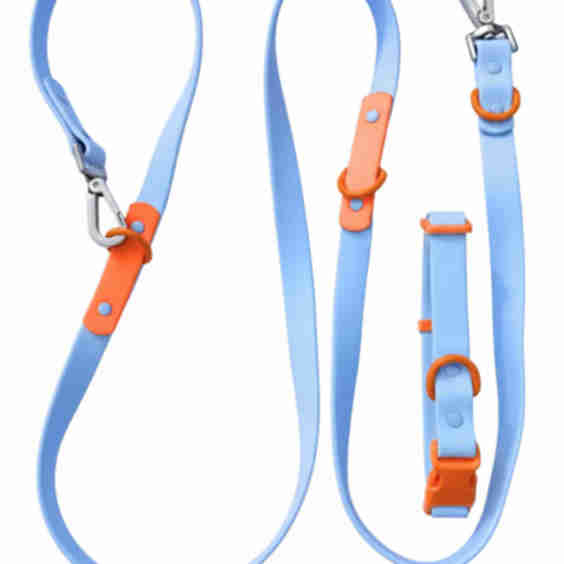 Fritz Collar Leash Walk Set