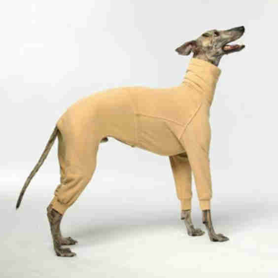 Gumdrop Dog Cat Fleece Onesie