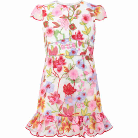 Arabella Embroidered Mini Dress, Floral