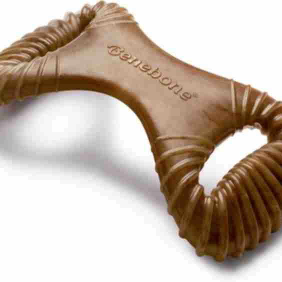 Bacon Flavor Dental Chew Toy
