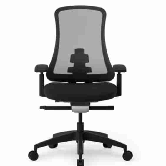 Ergonomic Chair with Aesthetics and Craftsmanship